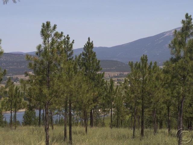 Lot 20 River, Plains, MT 59859