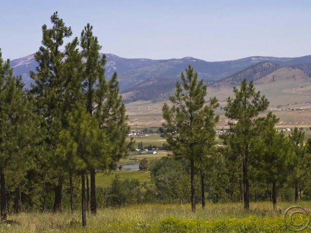 Lot 16 River, Plains, MT 59859