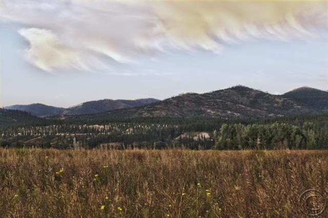 Lot 8 River, Plains, MT 59859