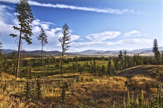 Lot 10 River, Plains, MT 59859