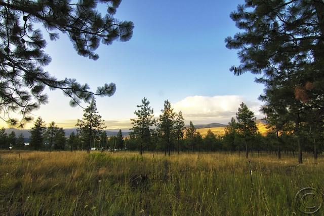 Lot 31 River Estates I, Plains, MT 59859