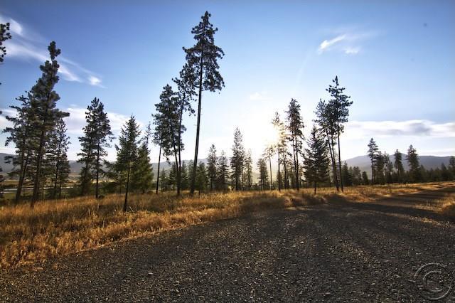 Lot 31 River Estates I, Plains, MT 59859