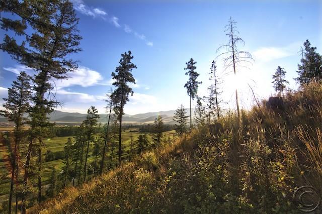 Lot 11 River, Plains, MT 59859