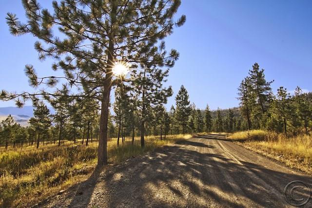 Lot 11 River, Plains, MT 59859