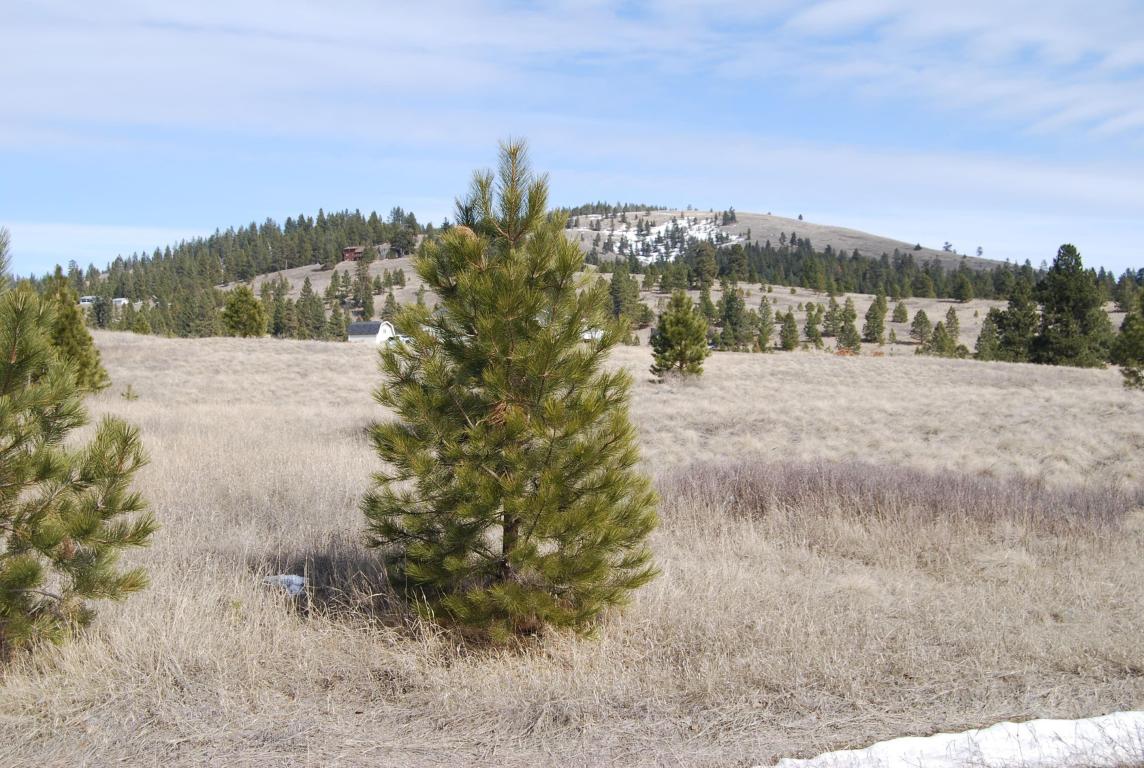 Lot 58 Pine View Loop, Polson, MT 59860