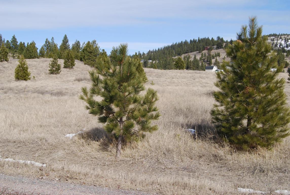 Lot 60 Pine View Loop, Polson, MT 59860