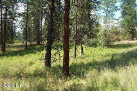 Nkn Jette Meadows, Polson, MT 59860
