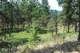 Nkn Jette Meadows, Polson, MT 59860