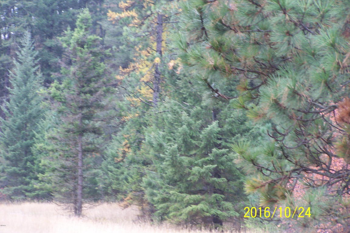 Lot118 Jette Lake Trail, Polson, MT 59860