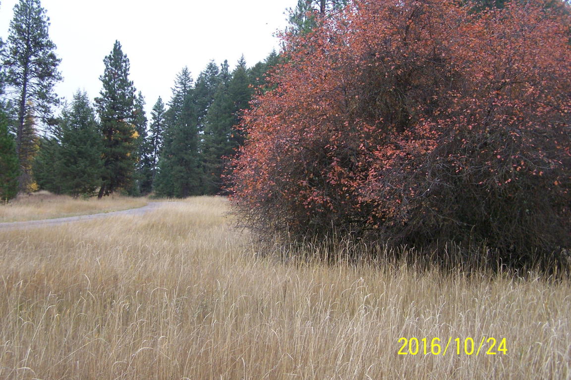 Lot118 Jette Lake Trail, Polson, MT 59860