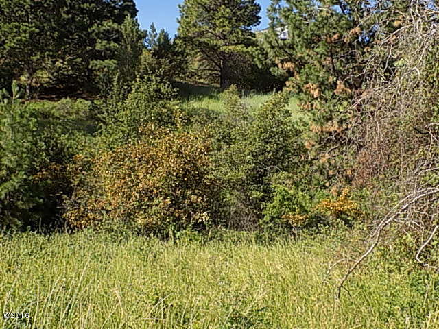 Nhn 15th Avenue East, Polson, MT 59860
