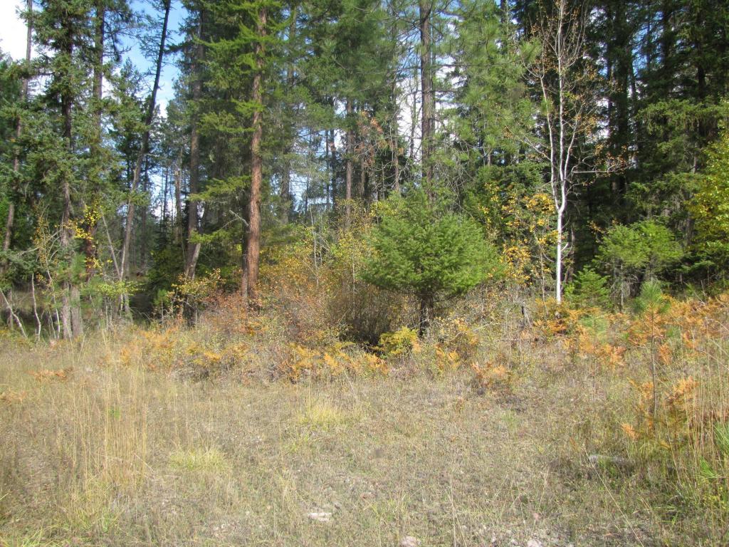 Nhn Timberlane Road, Ronan, MT 59864