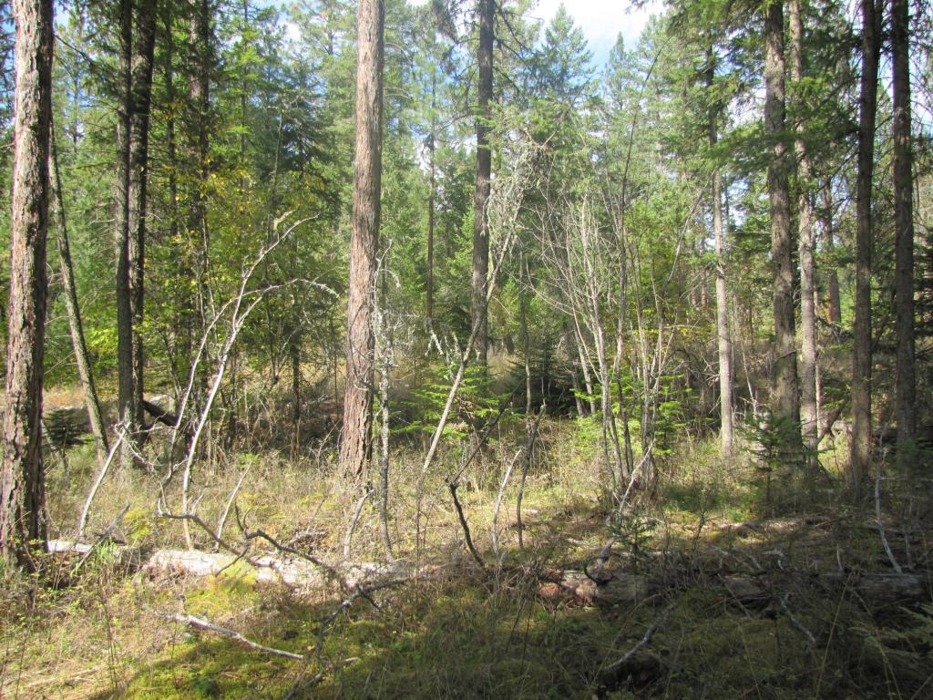Nhn Timberlane Road, Ronan, MT 59864