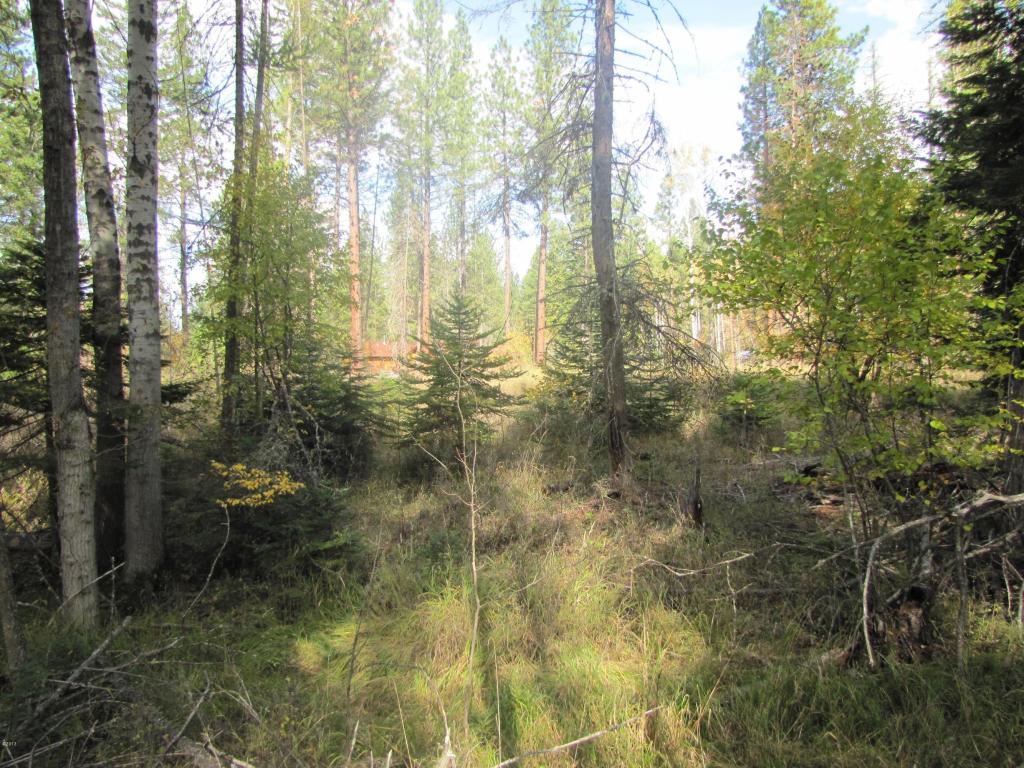 Nhn Timberlane Road, Ronan, MT 59864
