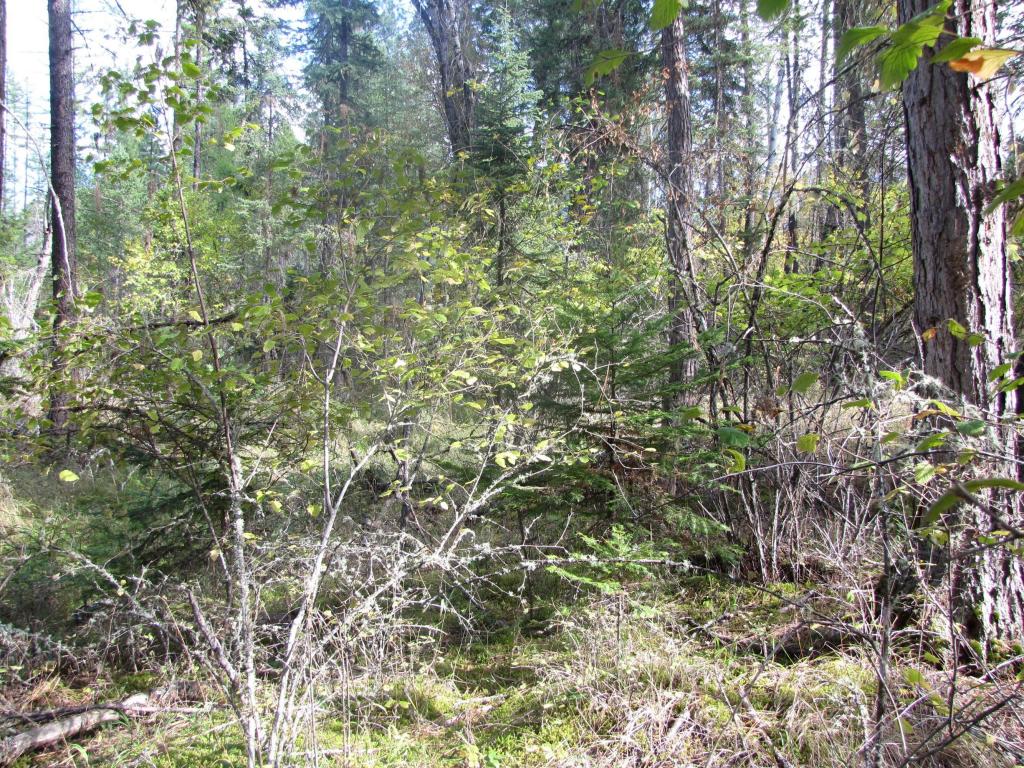 Nhn Timberlane Road, Ronan, MT 59864