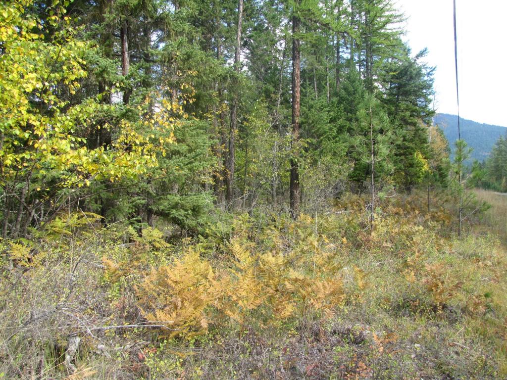 Nhn Timberlane Road, Ronan, MT 59864