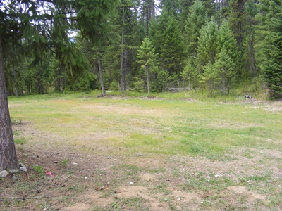 180 Cabin City Loop, St. Regis, MT 59866