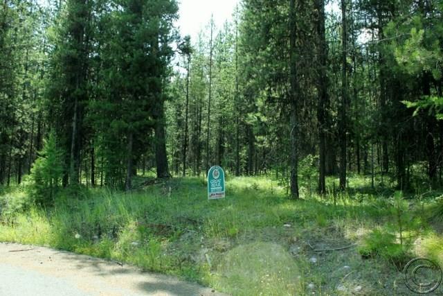 Lot 14 Lemar Drive, Seeley Lake, MT 59868