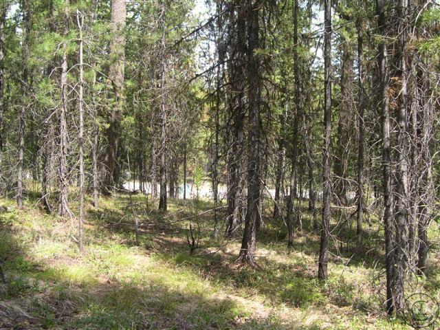 Lot 14 Lemar Drive, Seeley Lake, MT 59868
