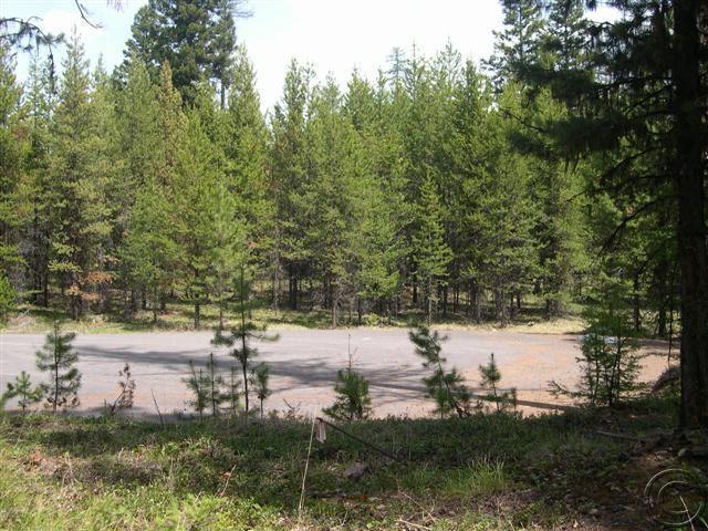 Lot 14 Lemar Drive, Seeley Lake, MT 59868