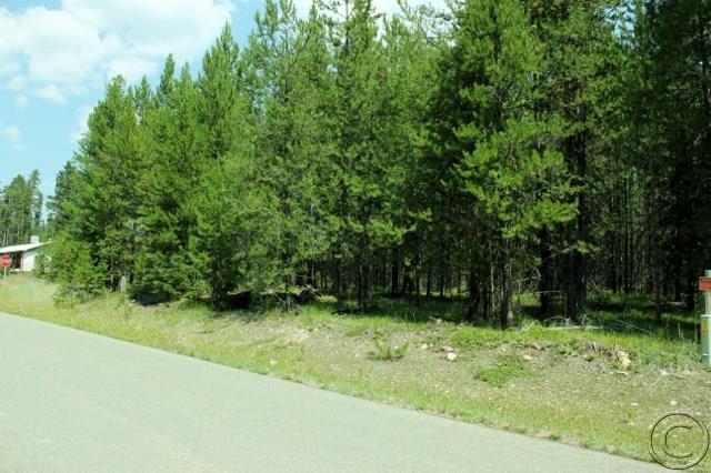 Lot 24 Lemar Drive, Seeley Lake, MT 59868