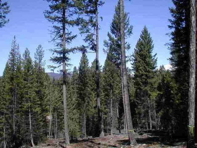 Nhn Bobcat Lane, Seeley Lake, MT 59868