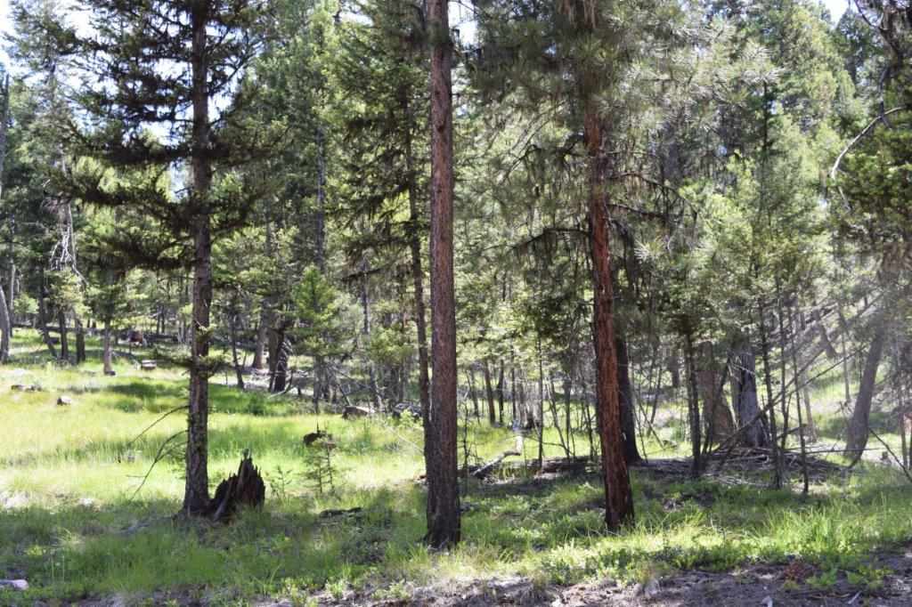 170 Leota Peak Ct, Seeley Lake, Other, MT 59868