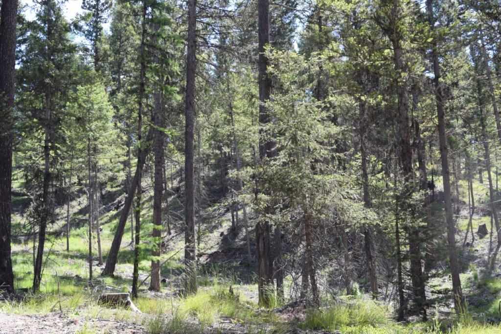 170 Leota Peak Ct, Seeley Lake, Other, MT 59868