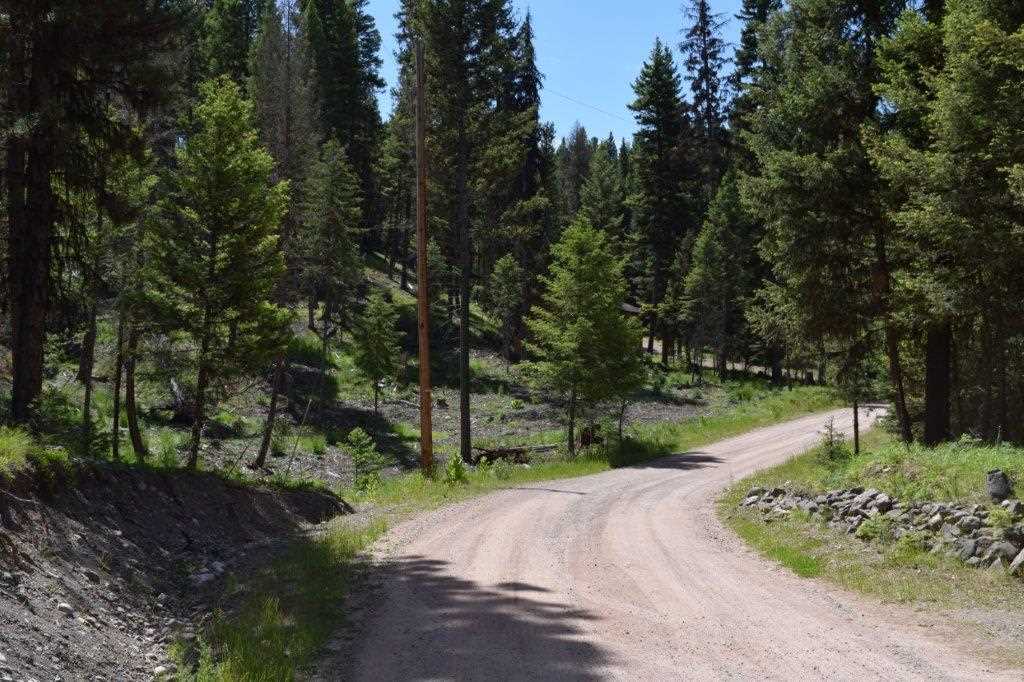 170 Leota Peak Ct, Seeley Lake, Other, MT 59868