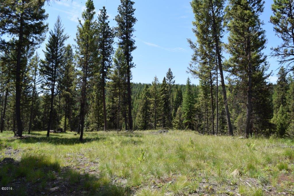 157 Grandview Court, Seeley Lake, MT 59868