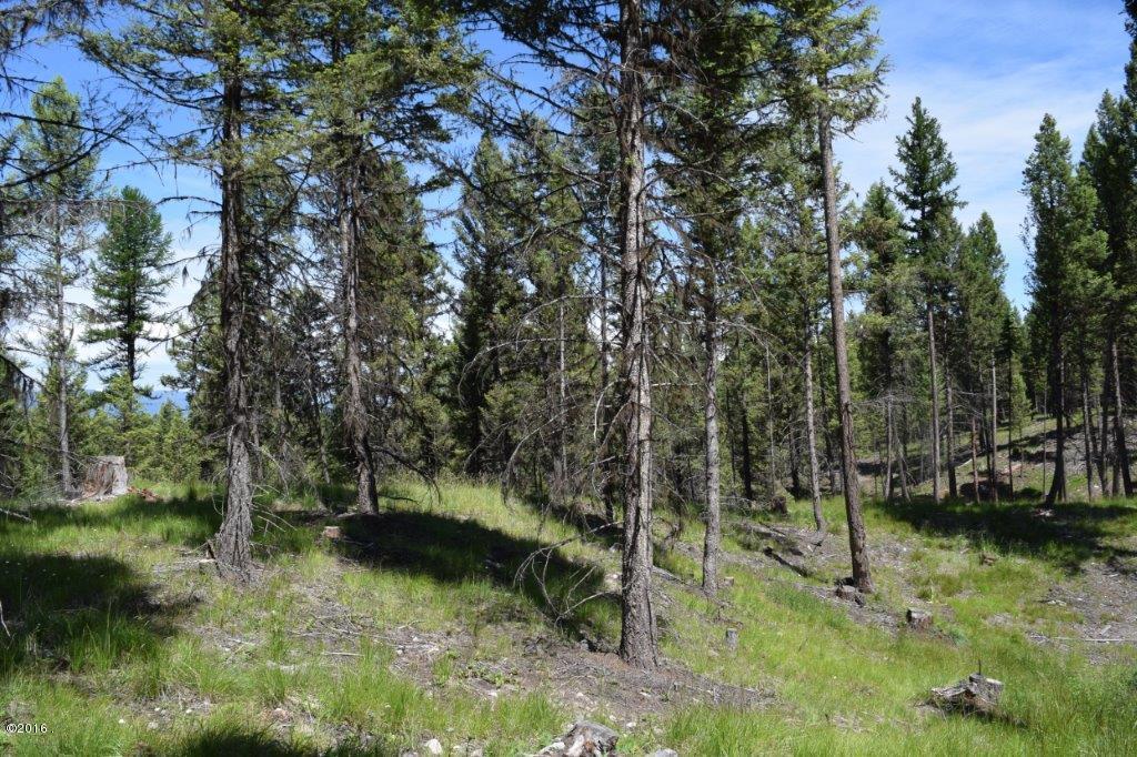 157 Grandview Court, Seeley Lake, MT 59868