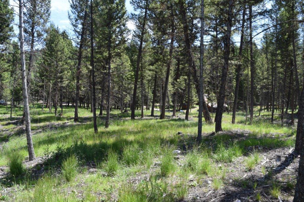 157 Grandview Court, Seeley Lake, MT 59868