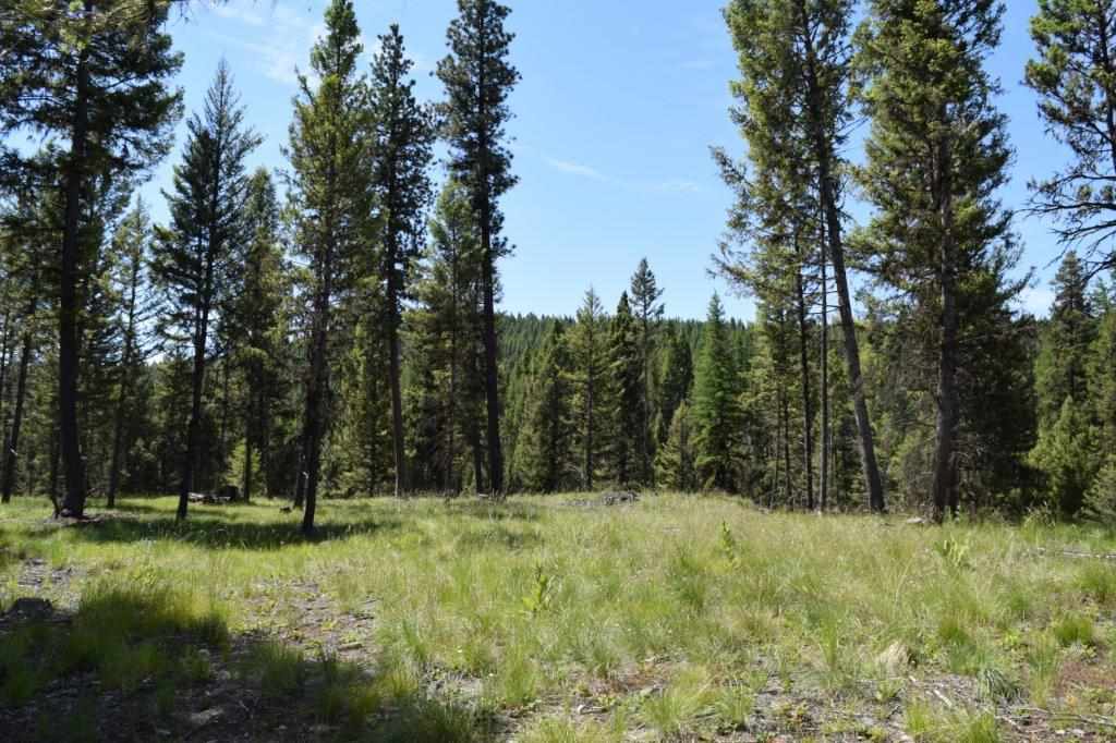 157 Grandview Ct, Seeley Lake, Other, MT 59868