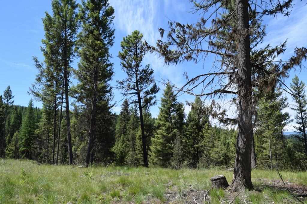 157 Grandview Ct, Seeley Lake, Other, MT 59868
