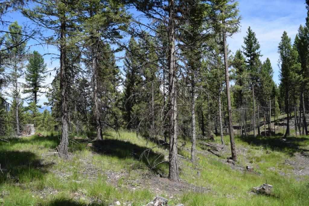 157 Grandview Ct, Seeley Lake, Other, MT 59868