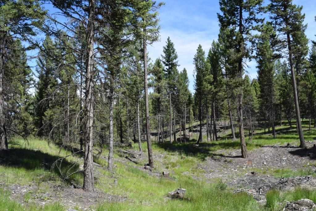 157 Grandview Ct, Seeley Lake, Other, MT 59868