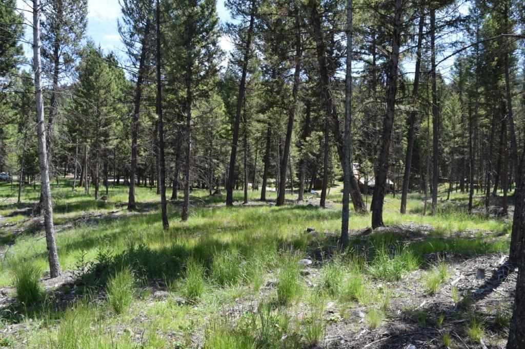 157 Grandview Ct, Seeley Lake, Other, MT 59868