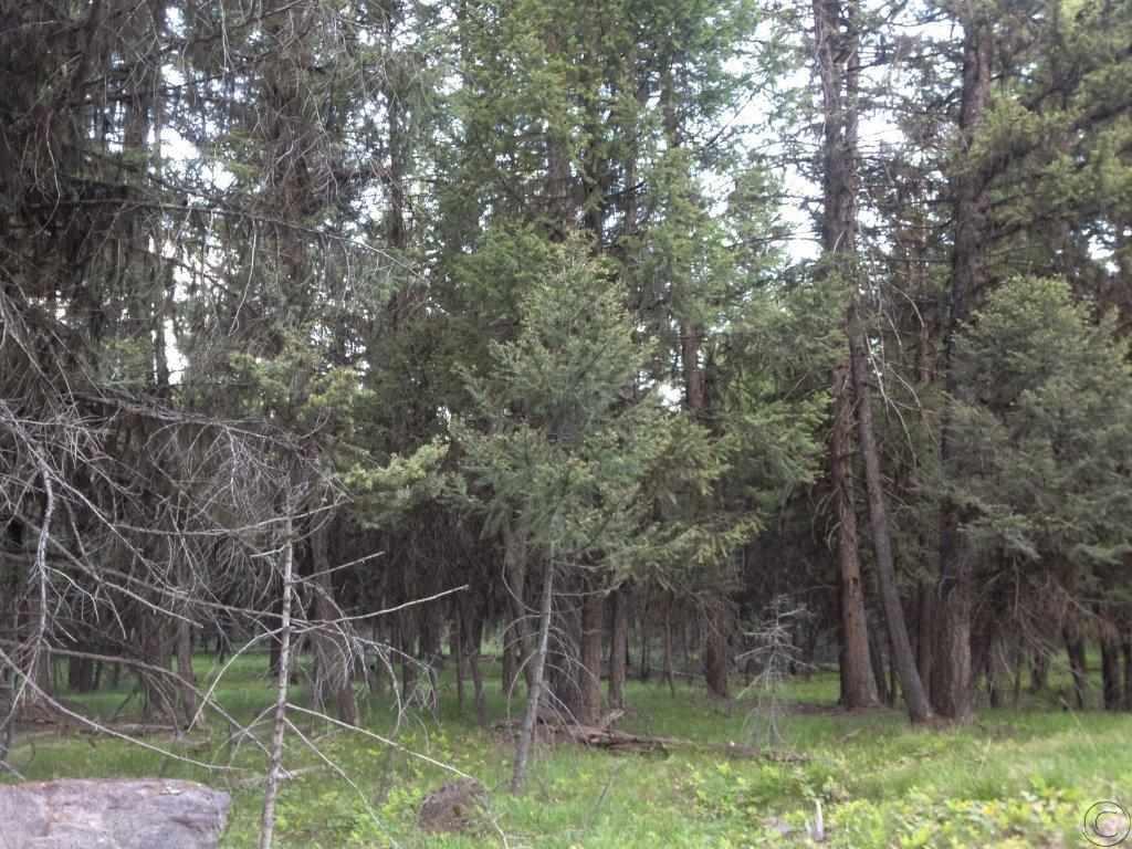 Nhn Evergreen Drive, Seeley Lake, MT 59868