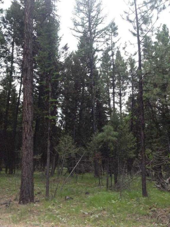 Nhn Evergreen Drive, Seeley Lake, MT 59868