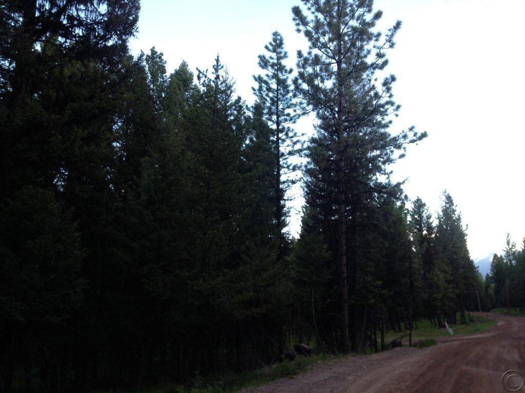 Nhn Evergreen Drive, Seeley Lake, MT 59868