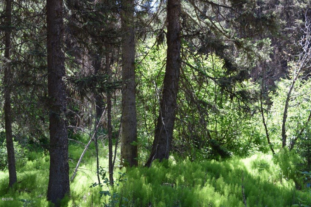165 Grandview Court, Seeley Lake, MT 59868