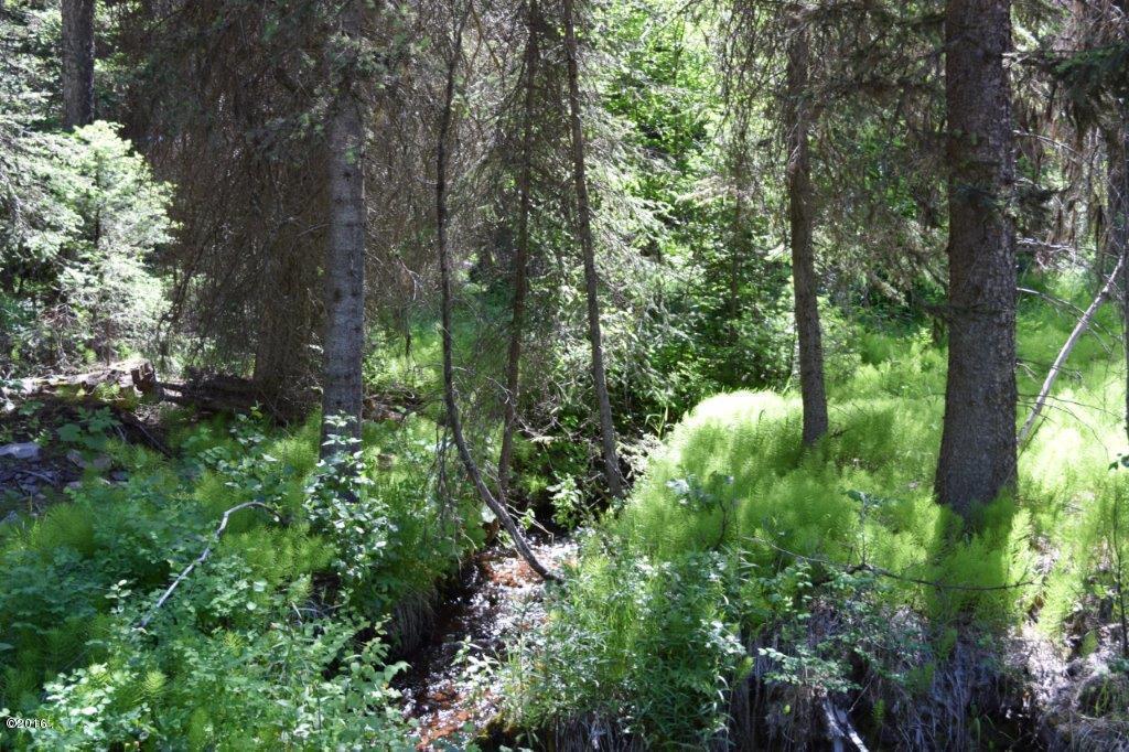 165 Grandview Court, Seeley Lake, MT 59868
