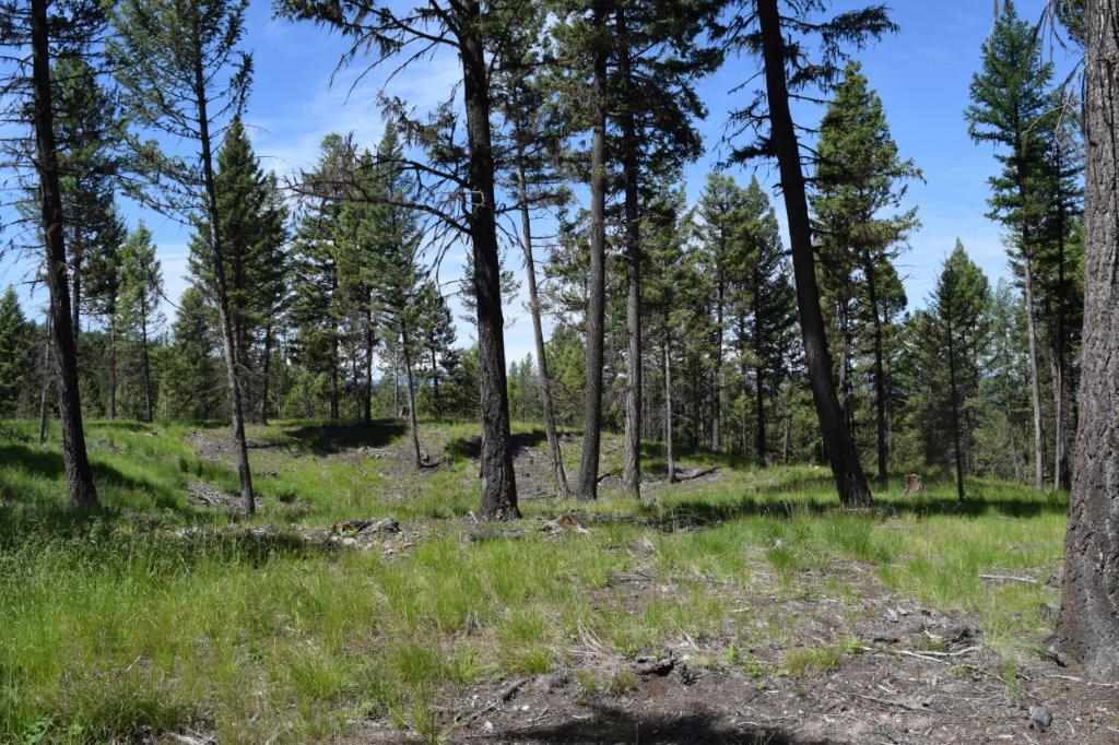165 Granview Ct, Seeley Lake, Other, MT 59868