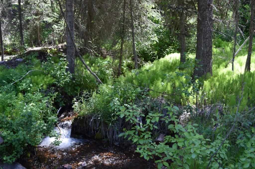 165 Granview Ct, Seeley Lake, Other, MT 59868