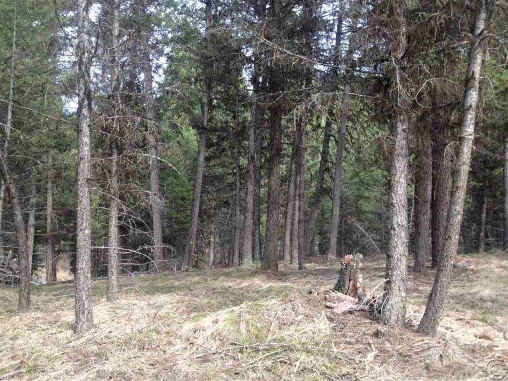 383 Bobcat Ln, Seeley Lake, MT 59868