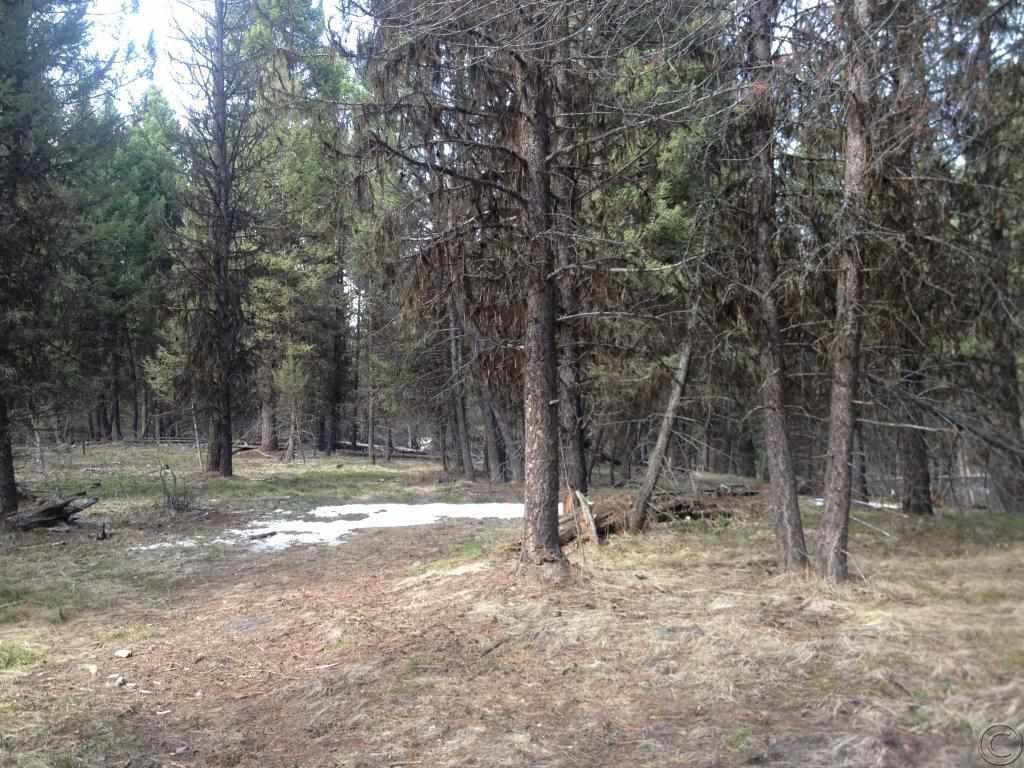 383 Bobcat Ln, Seeley Lake, MT 59868