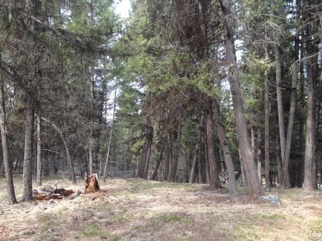 383 Bobcat Ln, Seeley Lake, MT 59868