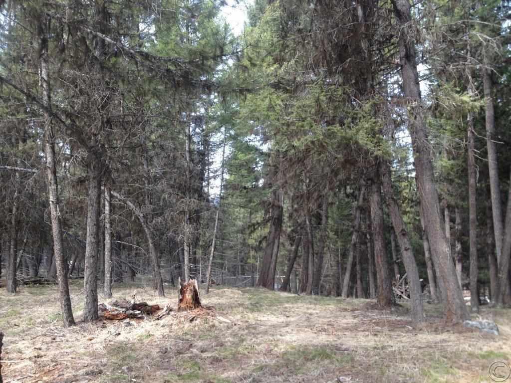 383 Bobcat Ln, Seeley Lake, MT 59868