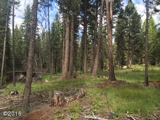 890 Grayling Drive, Seeley Lake, MT 59868