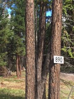 890 Grayling Drive, Seeley Lake, MT 59868